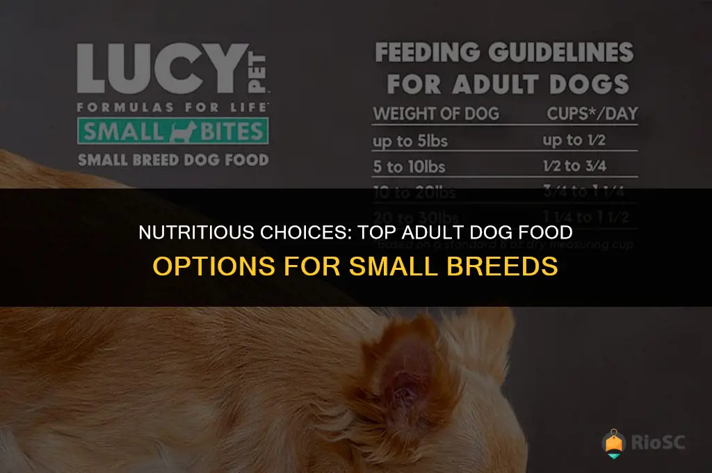 best adult dog food for small breeds