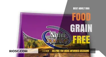 Top Picks for Grain-Free Adult Dog Food: A Comprehensive Guide