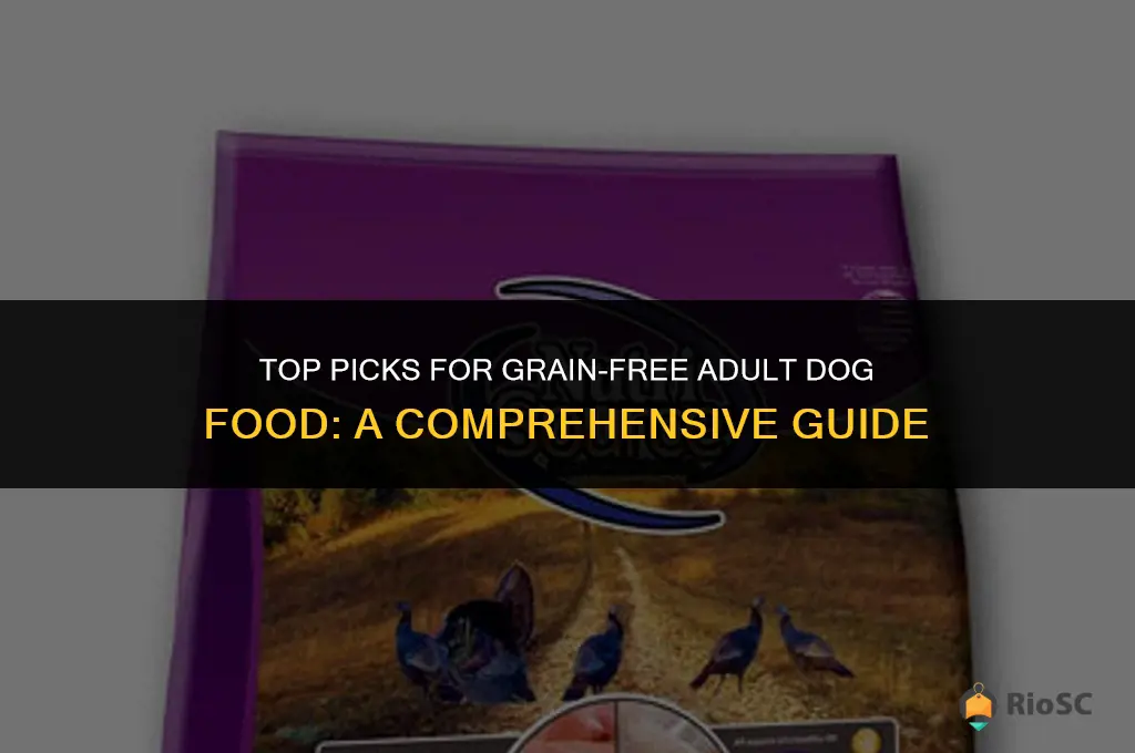 best adult dog food grain free