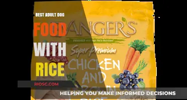 Top-Rated Adult Dog Food with Rice: Nourishing Your Canine Companion