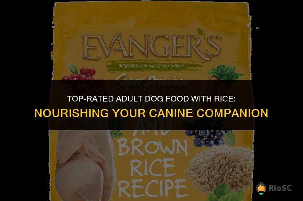 best adult dog food with rice