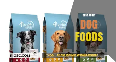 Top-Rated Adult Dog Foods: A Comprehensive Guide to Nutritious Choices for Your Furry Friend