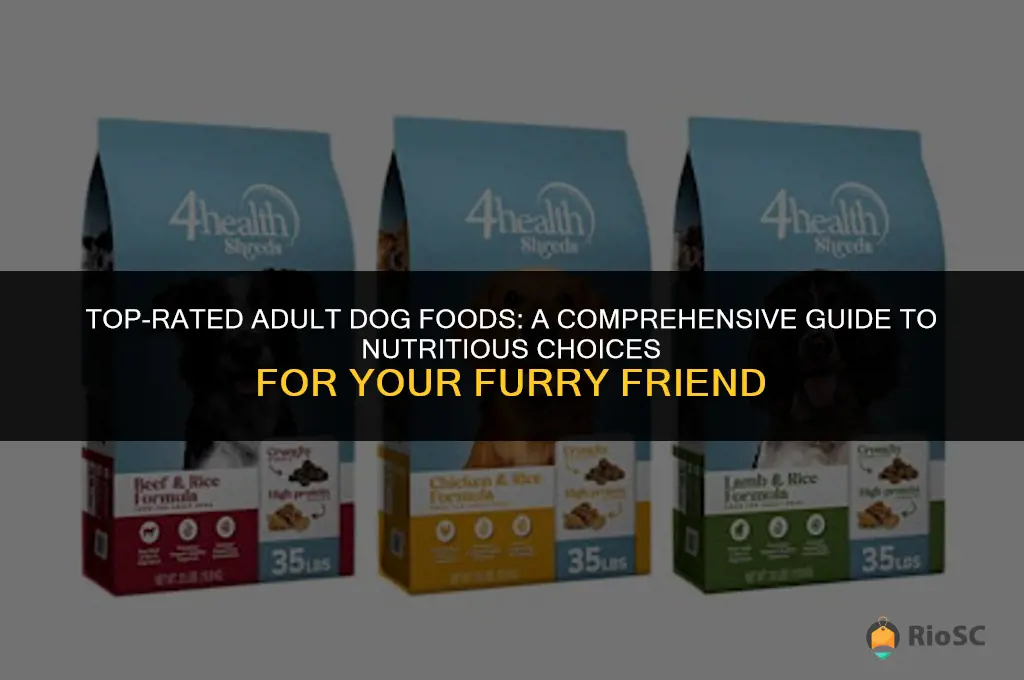 best adult dog foods