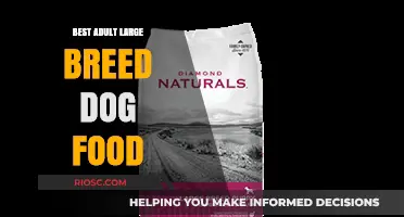 Top-Rated Adult Large Breed Dog Food: Nutrition for Optimal Health and Joint Support