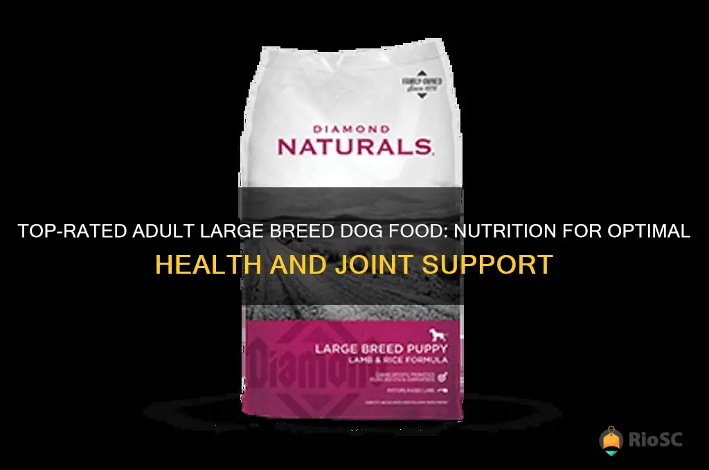 best adult large breed dog food