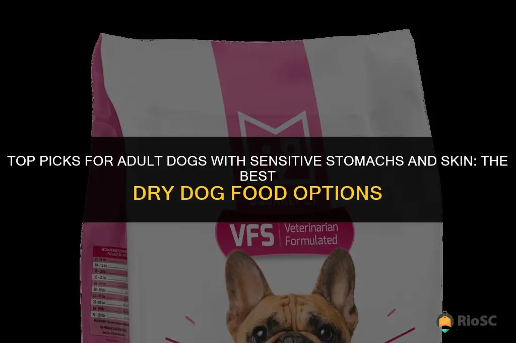 best adult sensitive stomach&skin dog food dry