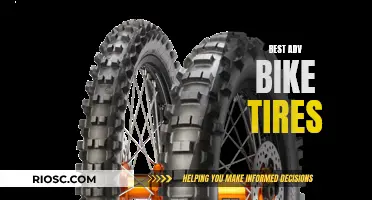 Adventure-Ready: Choosing the Best ADV Bike Tires