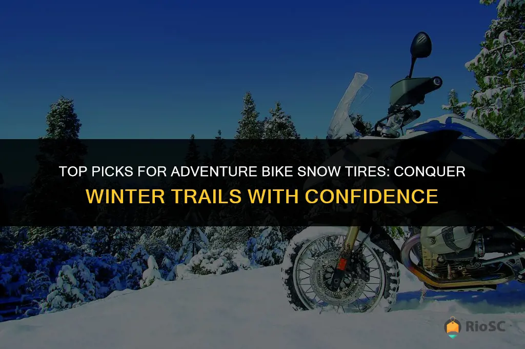 best adventure bike snow tires