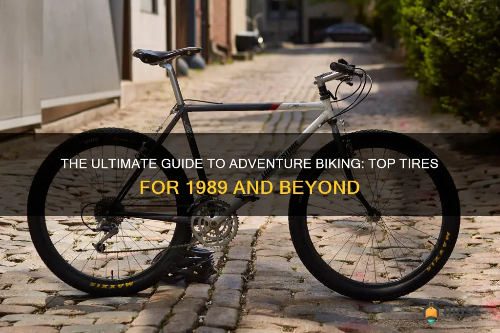 best adventure bike tires for 1989