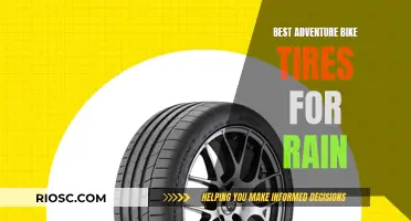 Rain-Ready Adventure: Top Tires for Wet Conditions