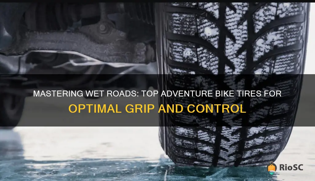 best adventure bike tires for wet roads