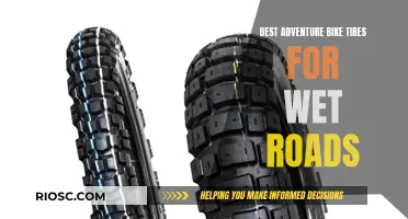 Adventure-Ready: Choosing the Right Bike Tires for Wet Road Conditions