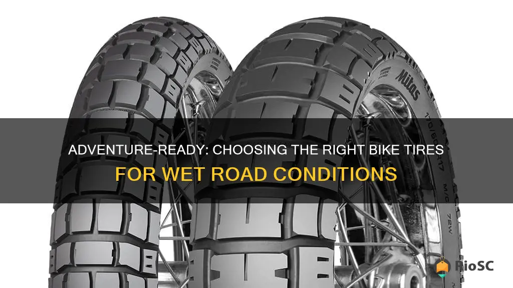 best adventure bike tires for wet roads