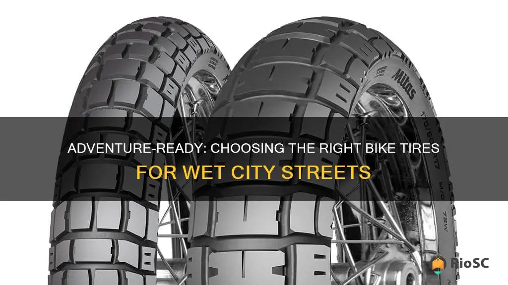 best adventure bike tires for wet steeets