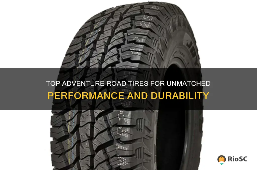 best adventure road tires
