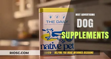 Top Dog Supplements: Boosting Your Pet's Health with the Best Advertising Campaigns