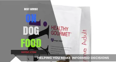 Nutrition Nuggets: Expert Tips for Choosing the Perfect Dog Food