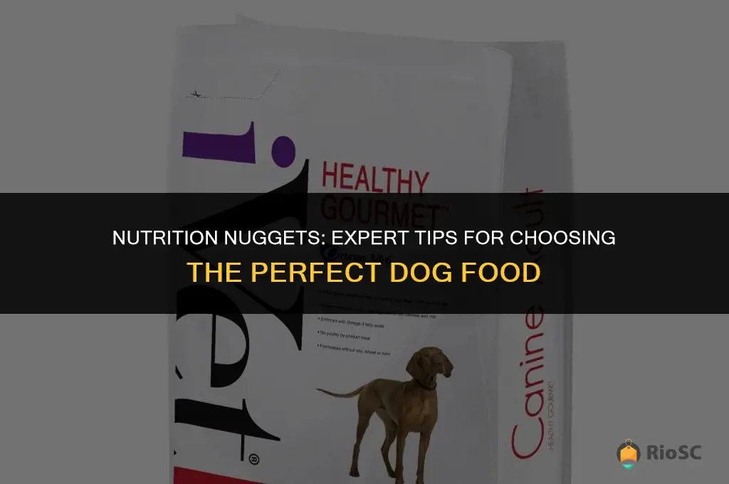 best advice on dog food