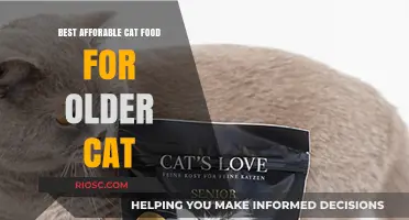 Nutritious and Budget-Friendly: Top Cat Food Picks for Senior Felines