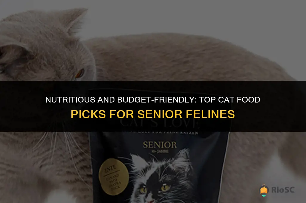 best afforable cat food for older cat