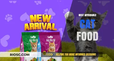 Purr-fectly Priced: The Best Affordable Cat Food Options for Your Feline Friend