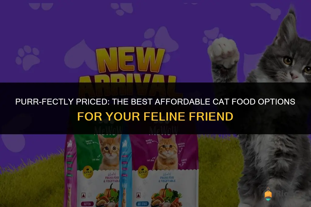 best afforable cat food