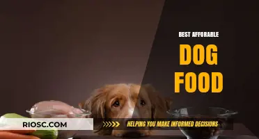 Top Picks for Budget-Friendly Dog Food: Nourishing Your Furry Friend Without Breaking the Bank