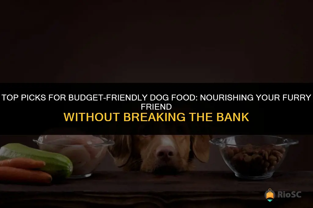 best afforable dog food