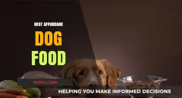 Top Picks for Budget-Friendly Dog Food: Quality Nutrition Without Breaking the Bank