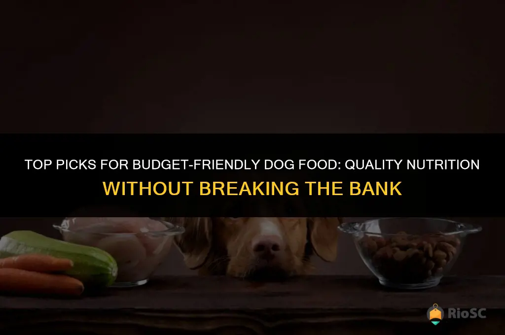 best affordabe dog food