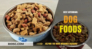 Top Picks for Budget-Friendly Dog Foods: Quality Nutrition Without Breaking the Bank