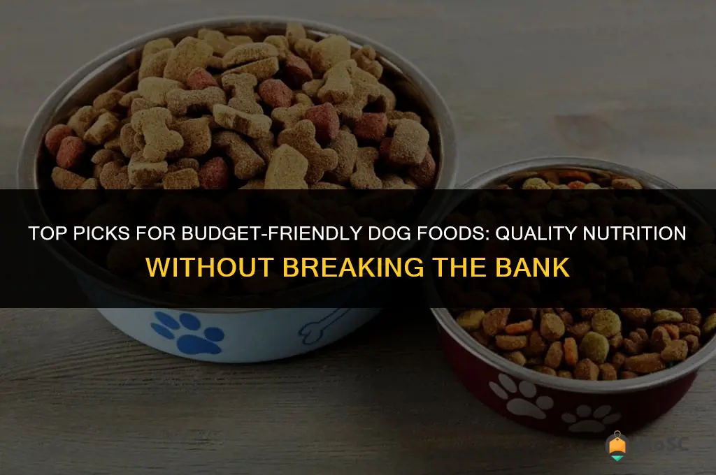 best affordabl dog foods