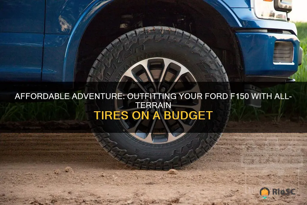 best affordable all terrain tires ford f150