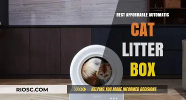 Affordable Automatic Cat Litter Boxes: Top Picks for Budget-Conscious Pet Owners