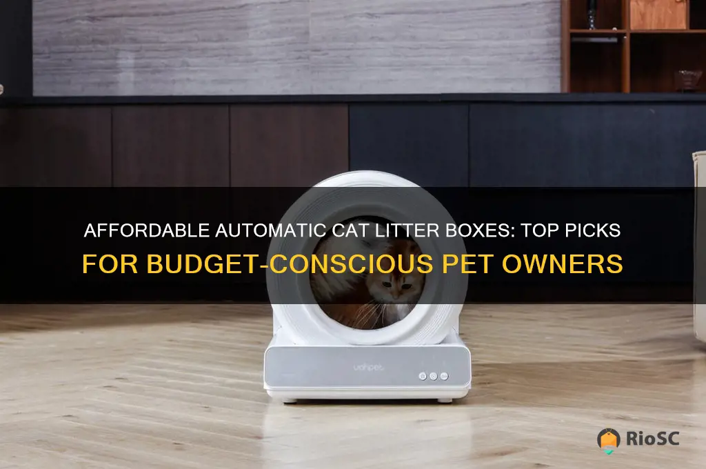 best affordable automatic cat litter box