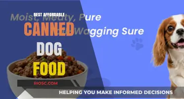 Budget-Friendly Bites: Top Affordable Canned Dog Food Options for Your Furry Friend