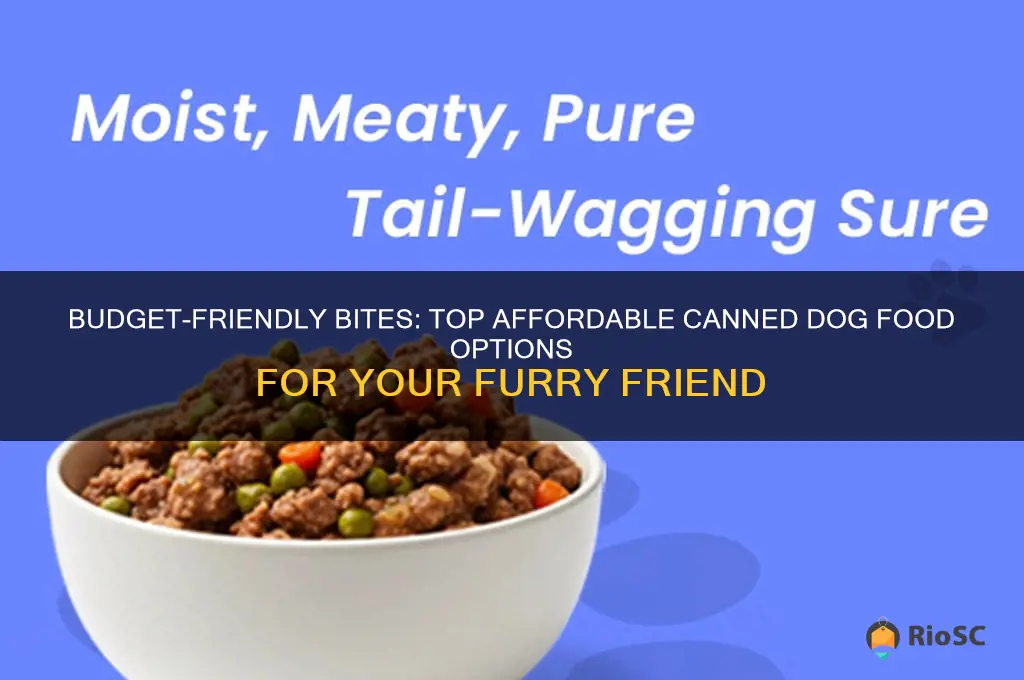best affordable canned dog food