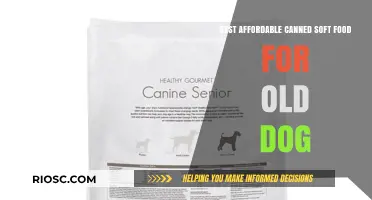 Nutritious and Budget-Friendly: Top Canned Soft Food Options for Senior Dogs