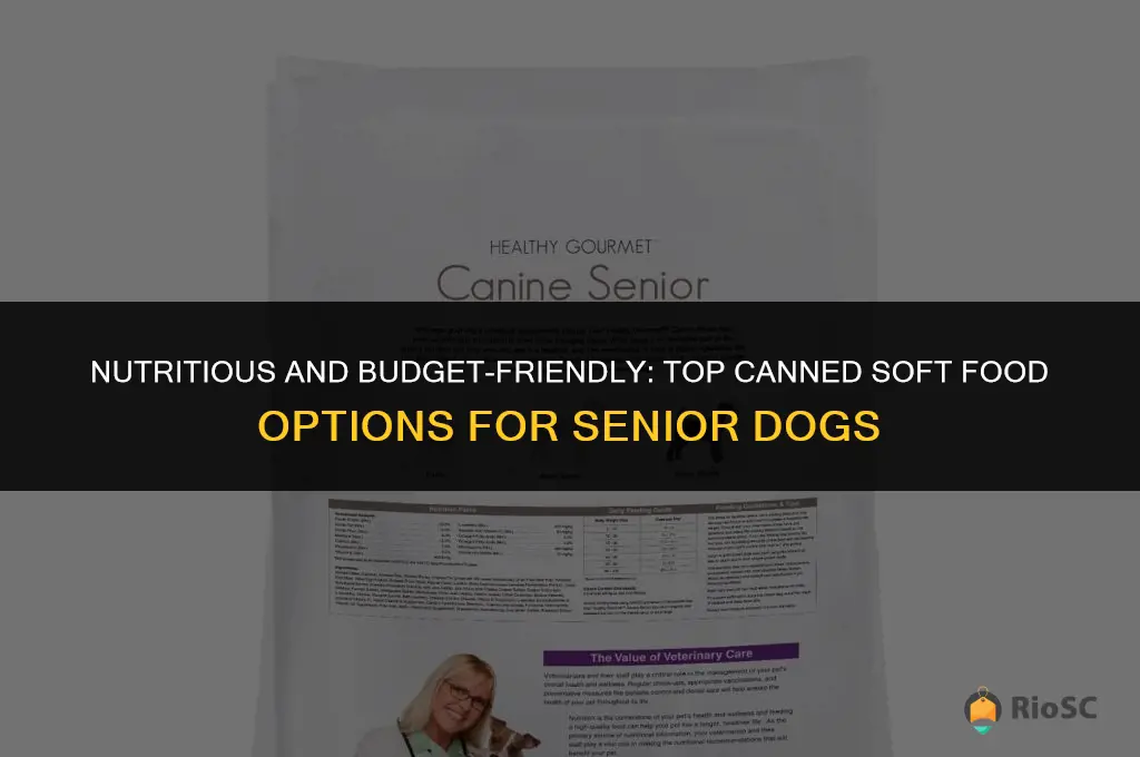 best affordable canned soft food for old dog