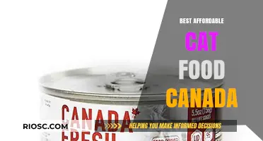 Top Budget-Friendly Cat Food Options in Canada: A Comprehensive Guide for Pet Owners