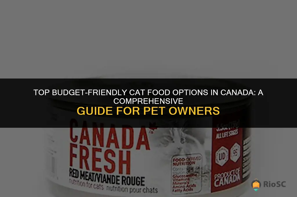 best affordable cat food canada