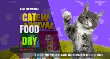 Purr-fectly Priced: Top Affordable Dry Cat Food Options for Your Feline Friend