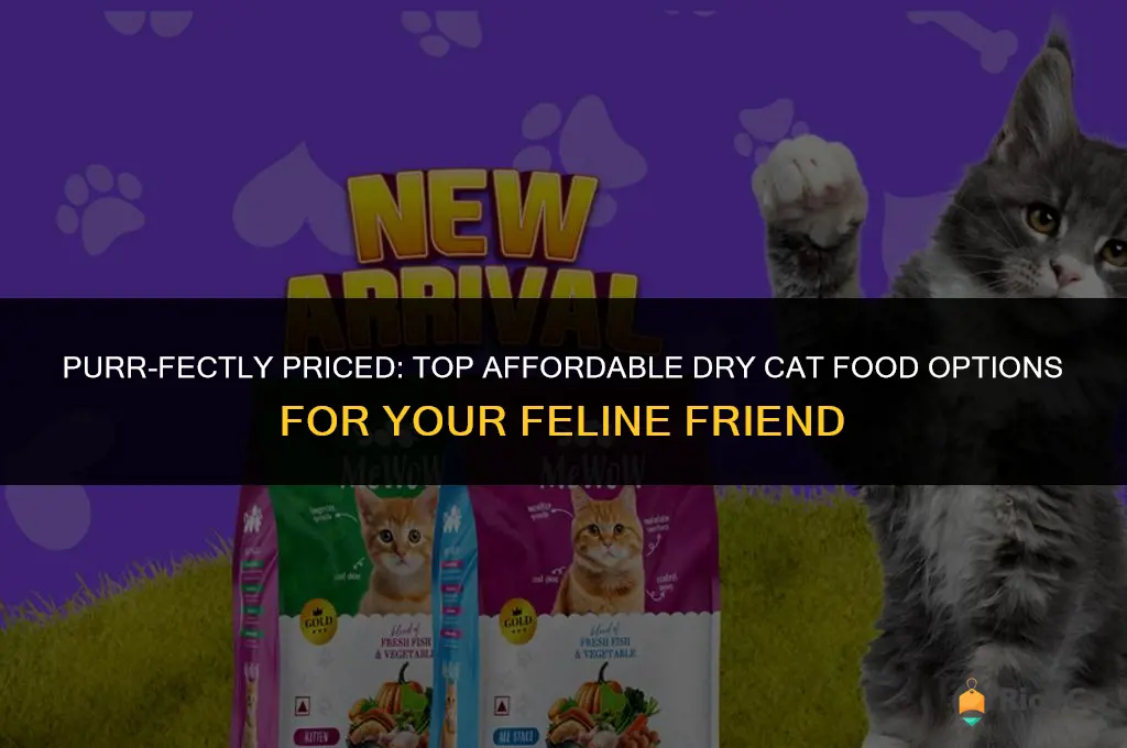 best affordable cat food dry
