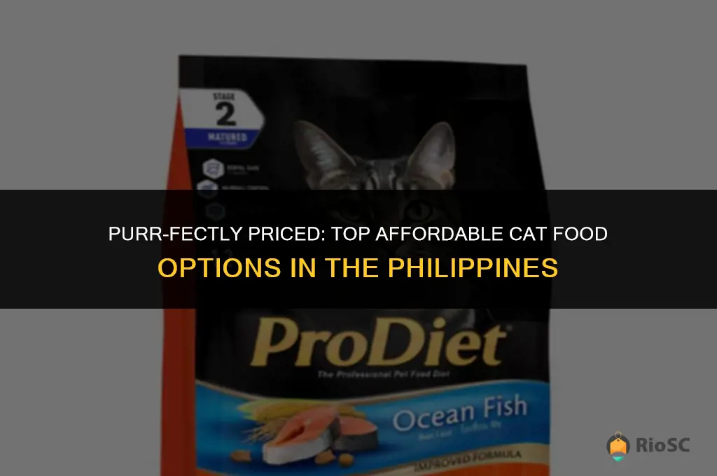 best affordable cat food philippines