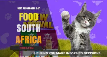 Top Budget-Friendly Cat Food Options in South Africa: A Comprehensive Guide for Pet Owners