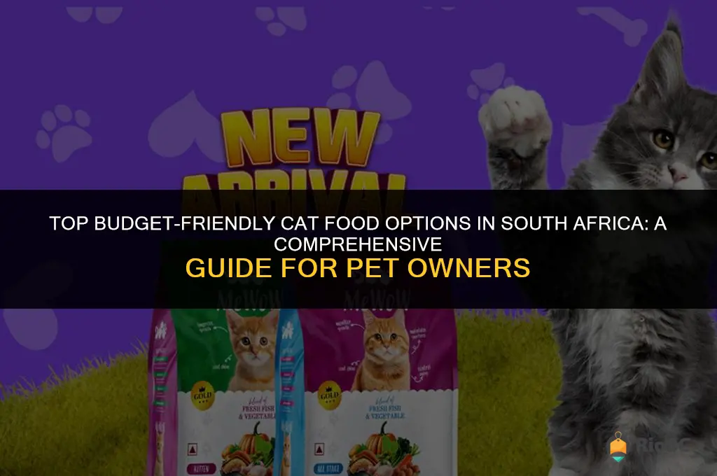 best affordable cat food south africa