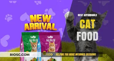 Purr-fectly Priced: The Best Affordable Cat Food Options for Your Feline Friend