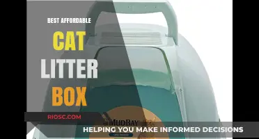 Budget-Friendly Purrfection: Top Affordable Cat Litter Boxes for Happy Cats and Clean Homes