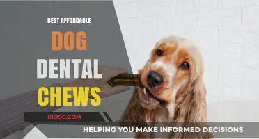 Affordable Dog Dental Chews: Top Picks for Healthy Teeth and Fresh Breath