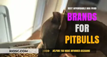 Top Budget-Friendly Dog Food Options for Pitbulls: A Comprehensive Guide